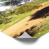 Olijfboom Poster (Hoek)