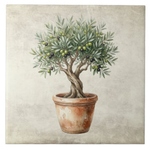 Olijfboom Topiary Mediterraan Aquarellen Rustiek Tegeltje