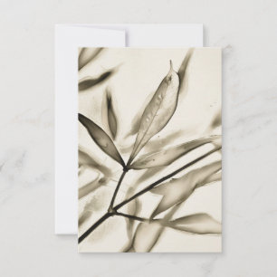 Olijfboom verlaat kunst Flat Note Kaart