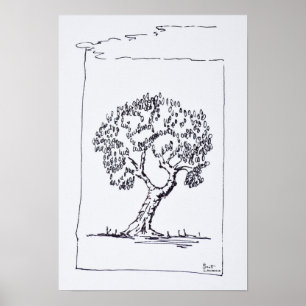 Olijfboom   Zuid-Frankrijk Poster