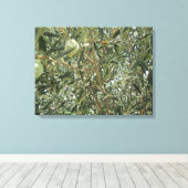 Olijfboombladeren Canvas Afdruk (Insitu (Houten vloer))