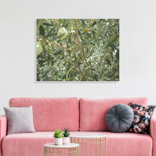 Olijfboombladeren Canvas Afdruk