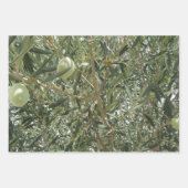 Olijfboombladeren Inpakpapier Vel (Voorkant 3)