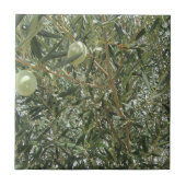 Olijfboombladeren Tegeltje (Voorkant)