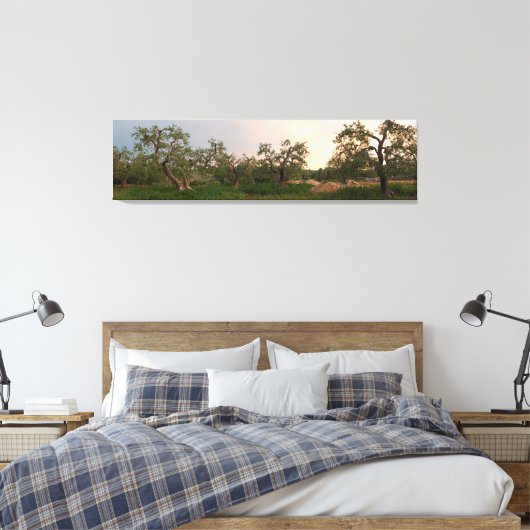 Olijfboomgaard bij zonsondergang canvas print (Insitu (Slaapkamer))