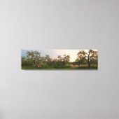 Olijfboomgaard bij zonsondergang canvas print (Voorkant)