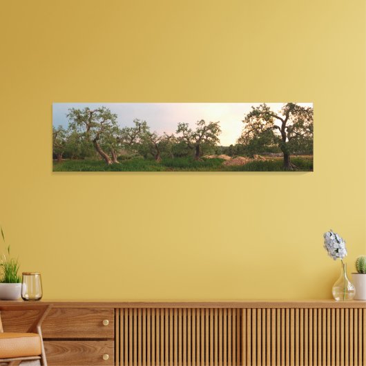 Olijfboomgaard bij zonsondergang canvas print (Insitu (Woonkamer))