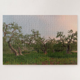 Olijfboomgaard bij zonsondergang legpuzzel