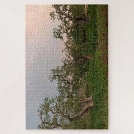 Olijfboomgaard bij zonsondergang legpuzzel