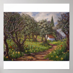 Olijfboomgaard in Springtime Poster