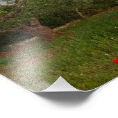 Olijfboomgaard in zonnefoto's foto afdruk (Hoek)