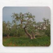 Olijfboomgaard in zonnemousepad muismat (Voorkant)