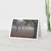 Olijfboomgaard op een mistige ochtend kaart (Voorkant)