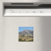 Olijfboomgaarden Magneet (Insitu (Vaatwasser))