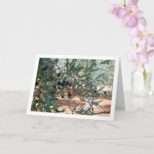 Olijfboomportret Kaart