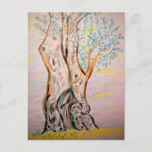 Olijfboomvrede Briefkaart (Voorkant)