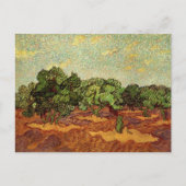 Olijfgaard, bleke blauwe lucht door Vincent van Go Briefkaart (Voorkant)