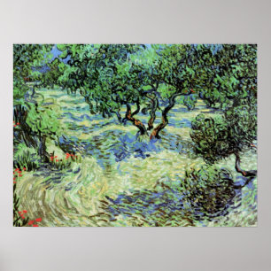 Olijfgaard door Vincent van Gogh Poster