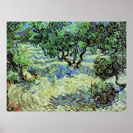 Olijfgaard door Vincent van Gogh Poster (Voorkant)