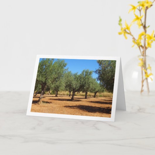 Olijfgaard Landschap Kaart (Gele Bloem)