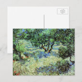 Olijfgaard van Vincent van Gogh Briefkaart (Voorkant / Achterkant)