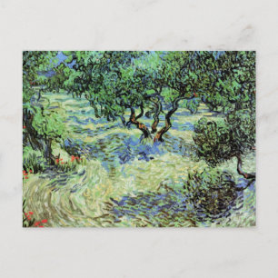 Olijfgaard van Vincent van Gogh Briefkaart