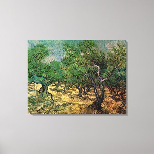 Olijfgaard van Vincent van Gogh Canvas Afdruk (Voorkant)