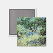 Olijfgaard van Vincent van Gogh Magneet (Voorkant / Achterkant)