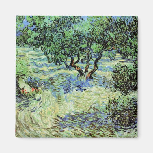 Olijfgaard van Vincent van Gogh Magneet (Voorkant)