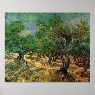 Olijfgaard van Vincent van Gogh Poster