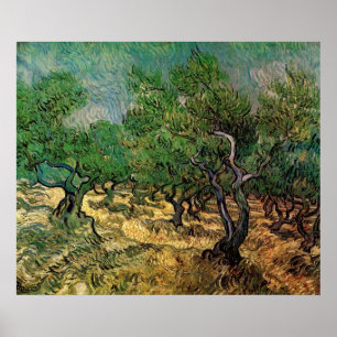 Olijfgaard van Vincent van Gogh Poster