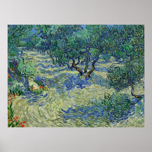 Olijfgaard, Vincent van Gogh Poster (Voorkant)