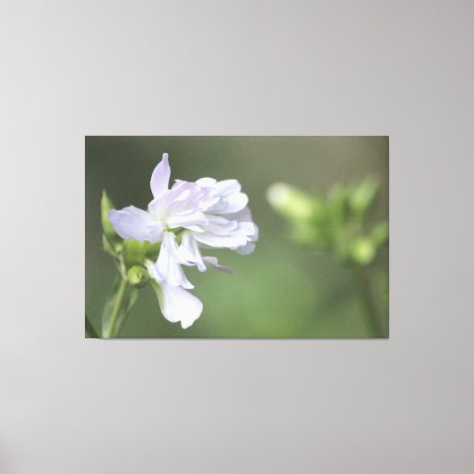 Olijfgroene print (Voorkant)