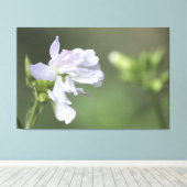 Olijfgroene print (Insitu (Houten vloer))