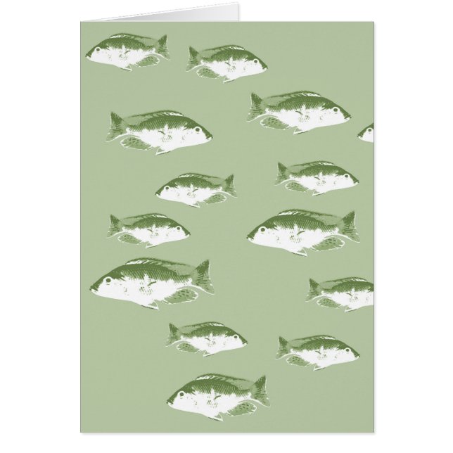 Olijfgroene vis (Voorkant)