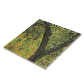 Olijfolie, Castiglione d'Orcia, provincie Siena Tegeltje (Zijkant)