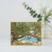 Olijfolie van het Middellandse-Zeegebied Briefkaart (Staand voorkant)