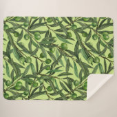 Olijfolie van honingdauw sherpa deken (Voorkant (horizontaal))