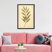 olijftak botanisch canvas afdruk (Insitu (Woonkamer))