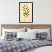olijftak botanisch canvas afdruk (Insitu (Slaapkamer))