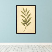 olijftak botanisch canvas afdruk (Insitu (Houten vloer))