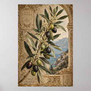 Olijftak Mediterraanse Muurkunst uit het Verleden Poster