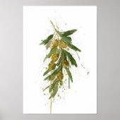 Olijftak Poster (Voorkant)
