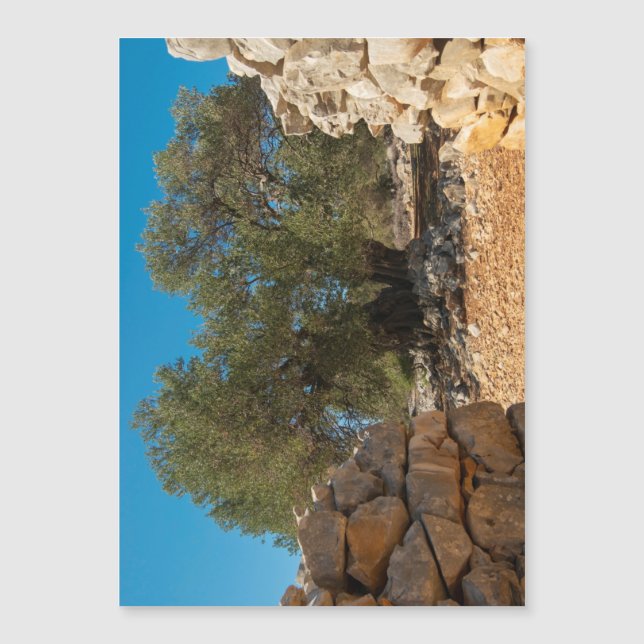 Olijftuinen van Lun (Voorkant)