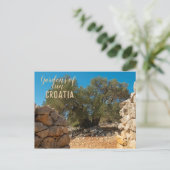 Olijftuinen van Lun Briefkaart (Staand voorkant)