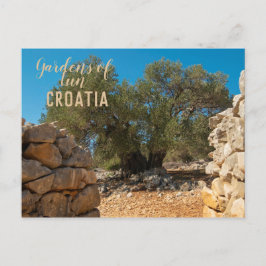 Olijftuinen van Lun Briefkaart