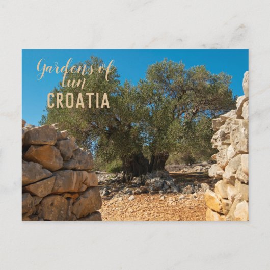 Olijftuinen van Lun Briefkaart (Voorkant)