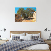 Olijftuinen van Lun Canvas Afdruk (Insitu (Slaapkamer))