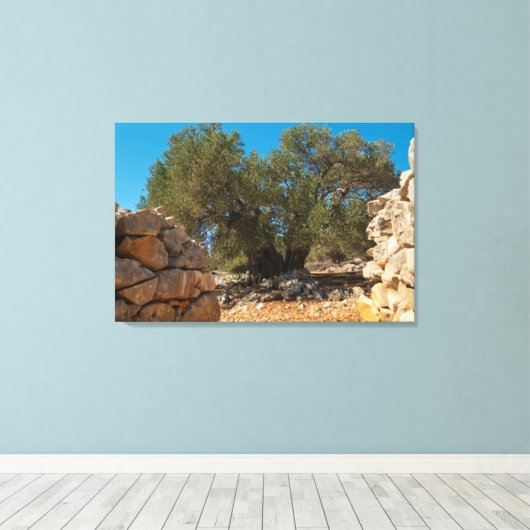 Olijftuinen van Lun Canvas Afdruk (Insitu (Houten vloer))