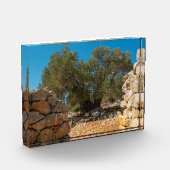 Olijftuinen van Lun Fotoblokken (Links)